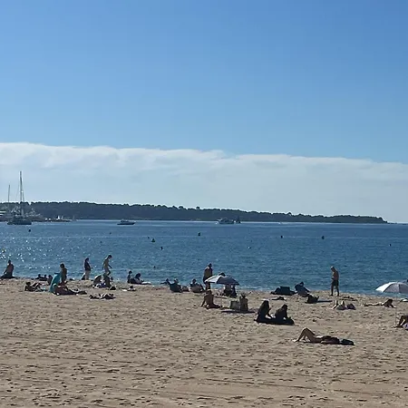 La Petite Maison Blanche Канны