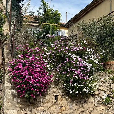 La Petite Maison Blanche Appartement