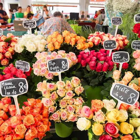 Appartement La Petite Maison Blanche