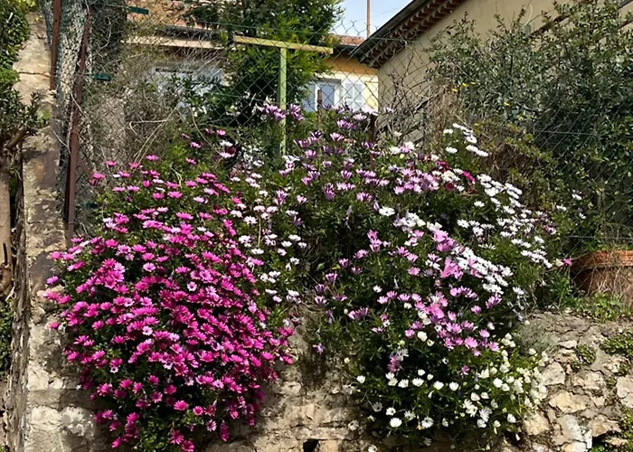 La Petite Maison Blanche Daire