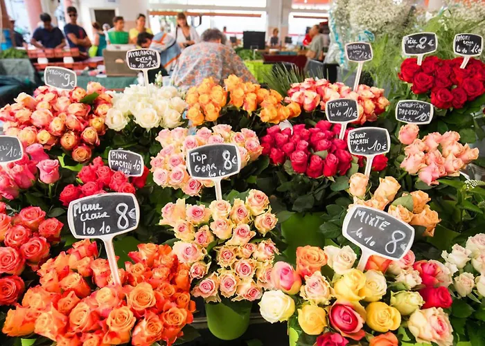 Daire La Petite Maison Blanche